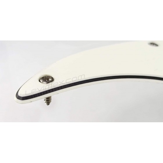 Screws for Fender® pickguard, output jack and backplate (19)